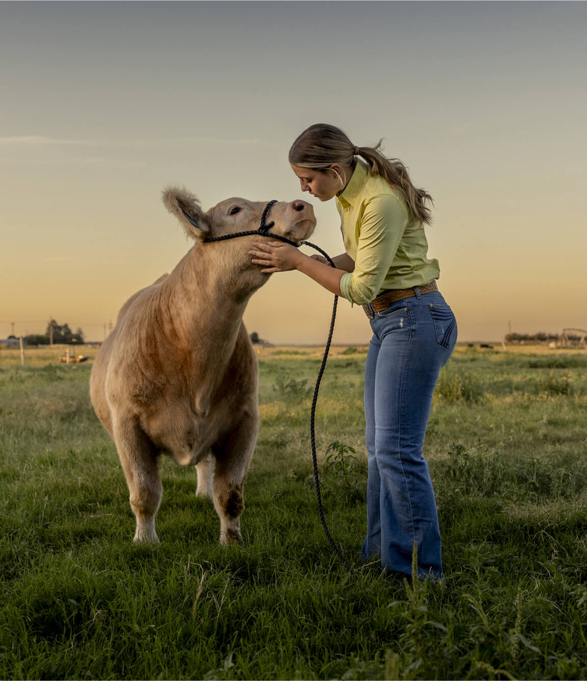 Teenage girl outdoors with a show cow
